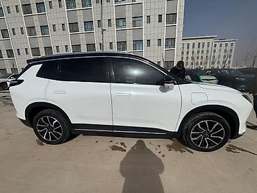 Weltmeister: Weltmeister W6, 2022 г., 100000 км, В наличии — 1