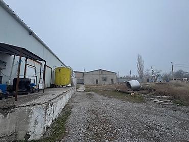 контейнеры: 100 соток, Договор купли-продажи — 3