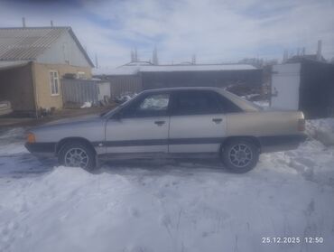 Audi: Audi 100: 2025 г., Седан — 2