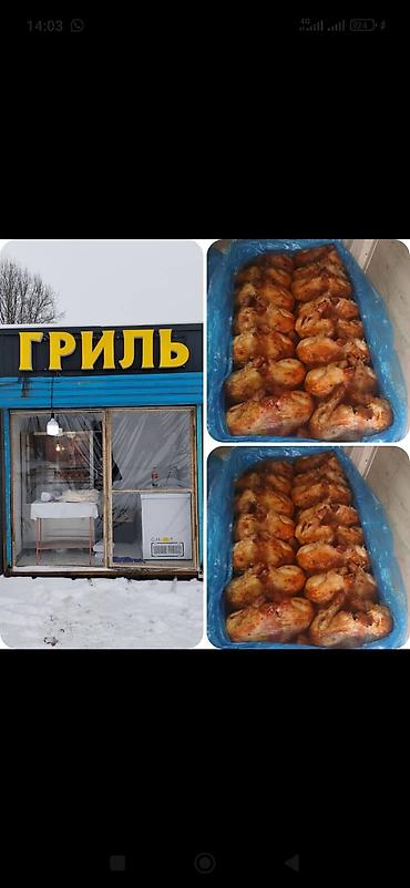 Мясо птицы: Готовая курица-гриль и табак-канат (куриные крылышки/полутушки) — 3
