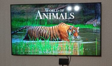 samsun a 51: Yeni Televizor LG NanoCell 65" 8K (7680x4320), Ünvandan götürmə