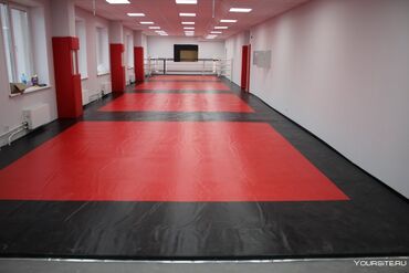 Другое для спорта и отдыха: Мат ковры маты татами даянги борцовские ковры изготавливаем — 3