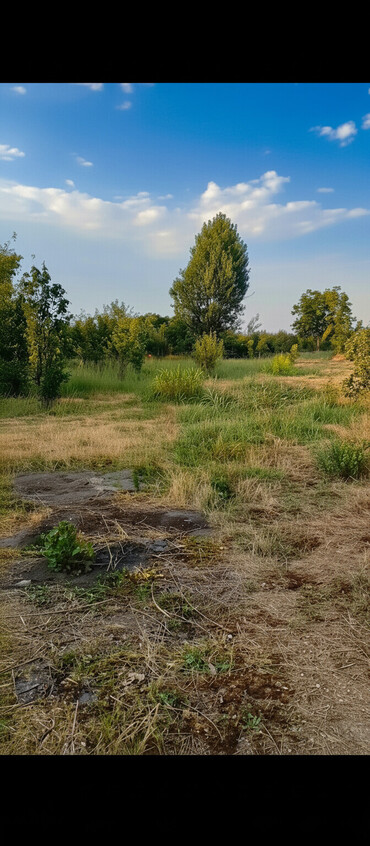 Torpaq sahələrinin satışı: 18 sot, Kənd təsərrüfatı, Mülkiyyətçi, Kupça (Çıxarış), Texniki pasport — 2