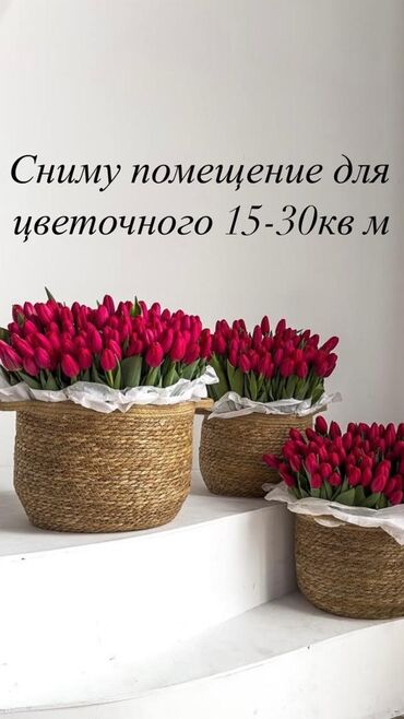 Сниму коммерческую недвижимость: Сниму помещение для цветочного от 15 до 30 кв м можно без ремонта