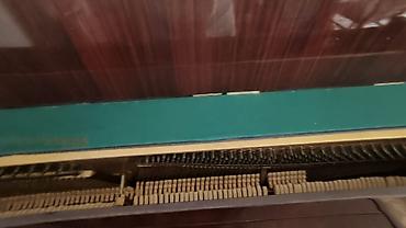 İdman və hobbi: Şverin (Schwerin) upright pianino - Korpus: tünd qəhvəyi, yüksək — 3