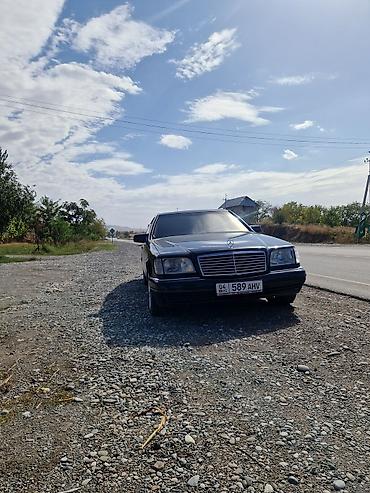 Mercedes-Benz S-Class: 1994 г., 5 л, Автомат, Газ, Седан