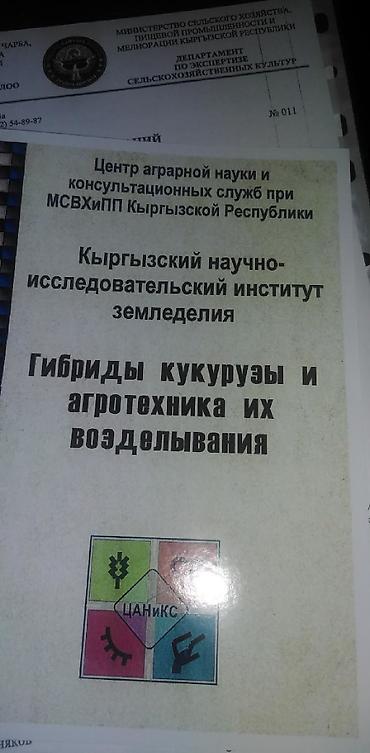 обмен на корову: Продаю семена кукурузы кыргызской селекции. гибрид ф1.Ала-тоо . срок — 4