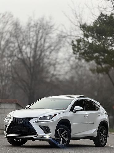Lexus: Lexus NX: 2018 г., 2 л, Вариатор, Бензин, Кроссовер — 1
