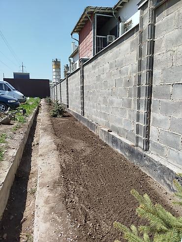 Семена газона: Газонная смесь DLF Seeds & Science - Профессиональные семена для — 13