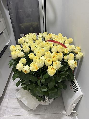 Майрамдык товарлар: Гулдор сатылат Жарым баасында все живые — 1