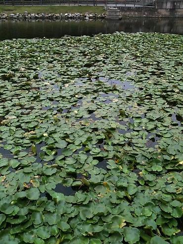 Языковые курсы: Языковые курсы Английский, Кыргызский, Китайский Для взрослых, Для детей — 12