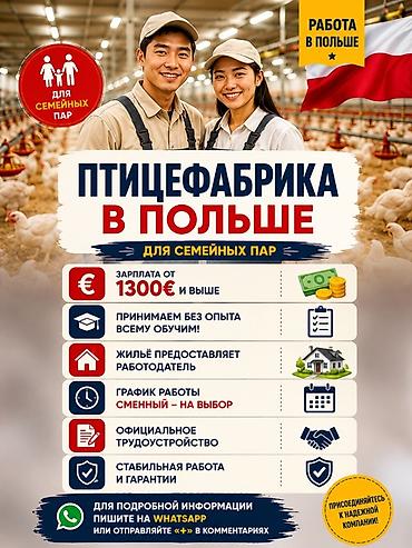 Требуется Птичник, Оплата: Ежемесячно, Официальное трудоустройство