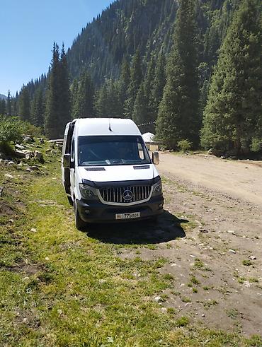 124 e500: Бус на заказ Пассажирский микроавтобус Mercedes‑Benz Sprinter (длинная — 4
