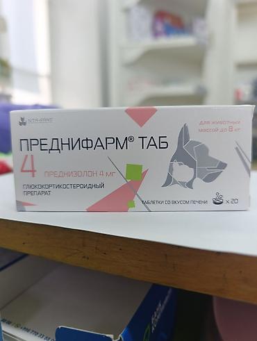 купить кошку в бишкеке: ?агазин Ветинтерсервис, Люксембург Ленина 143 — 2
