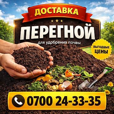 ph down: Перегной говяжий для удобрения. Доставка ЗИЛ 8 тонн — 1