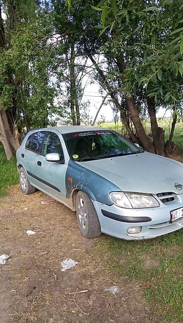 r 21: Nissan Almera: 2002 г., 2.2 л, Механика, Дизель, Хэтчбэк — 3