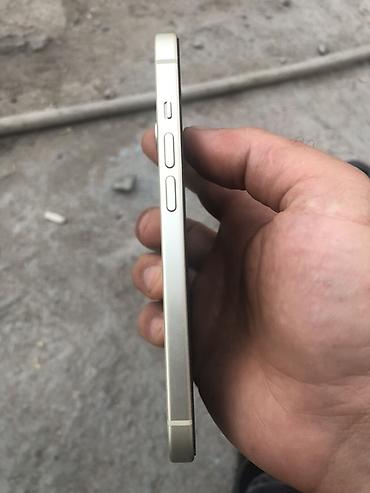 Apple iPhone: IPhone 15 — 4