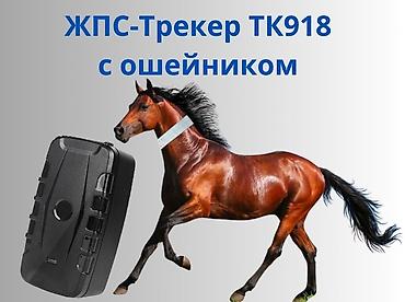 gps: ЖПС‑трекер TK918 с ошейником Заряд держится 1-3 месяца Универсальный — 1