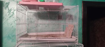 купить клетку для декоративного кролика бу: Продам 2 клетки, белая большая для крупных грызунов или попугаев