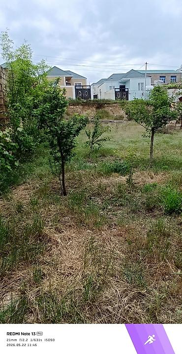Torpaq sahələrinin satışı: 12 sot, Tikinti, Mülkiyyətçi, Kupça (Çıxarış) — 7