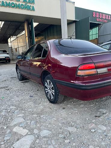 honda civic сидан: Nissan Cefiro: 1996 г., 2 л, Механика, Бензин, Седан — 5