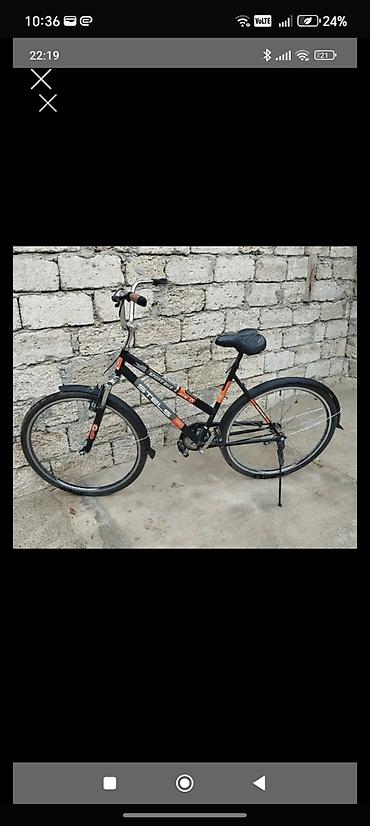 bicycle 29: Steels 29 — 1