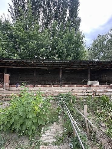 Продажа домов: 📍 В Шопокове продается дом на участке 8.5 соток, 65 кв.м. 🏡Дом — 7