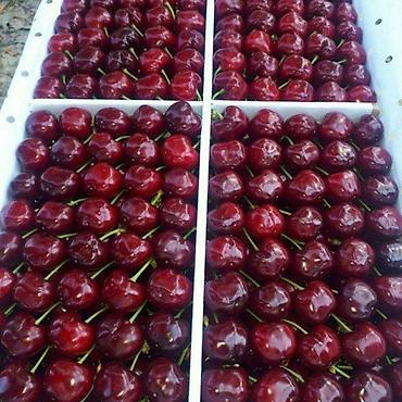 Другие фрукты: Айва свежая, садовая Описание: - Сочные, ароматные плоды ярко‑желтого — 6