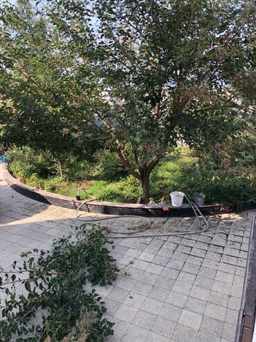 Həyət evləri və villaların satışı: 5 otaqlı, 310 kv. m, Orta təmir — 22