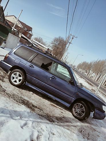 Subaru: Subaru Forester: 2000 г., 2 л, Автомат, Бензин, Универсал — 2