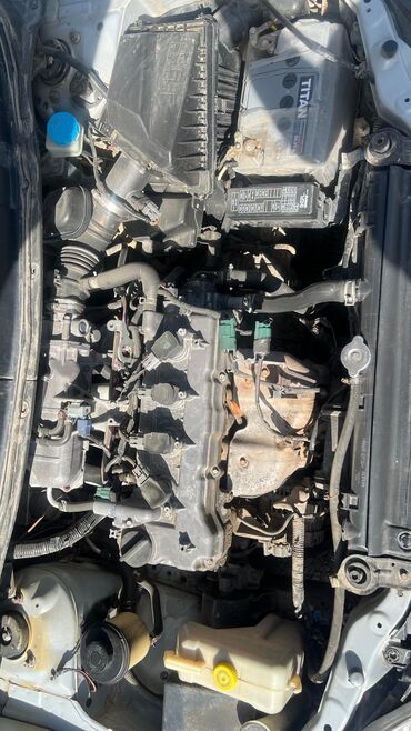 Nissan: Nissan Primera: 2002 г., 1.8 л, Механика, Бензин, Седан — 10