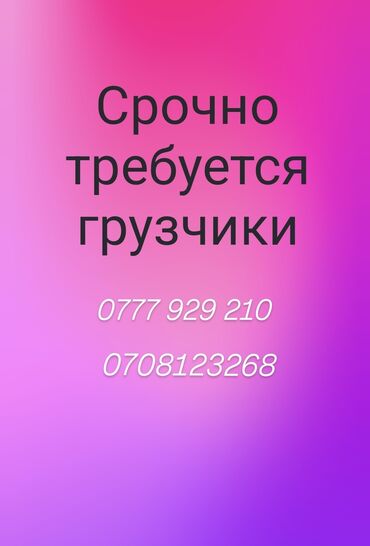 работа на пару часов: Жүк ташуучу