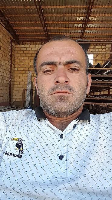 Ağ rəngli, naxışlı pololu köynək - Rəng: ağ, açıq-mavi xırda fiqurlu