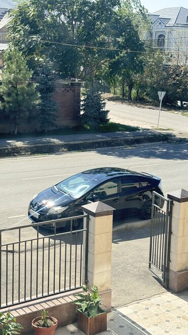 Toyota: Toyota Prius: 2010 г., 1.8 л, Вариатор, Гибрид, Хэтчбэк — 19