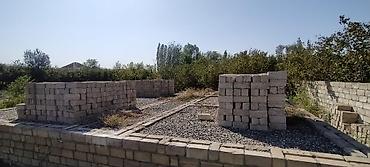 evler zabrat: 10 sot, Mülkiyyətçi, Kupça (Çıxarış) — 8