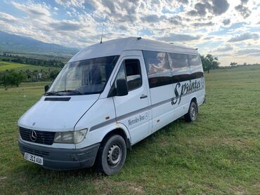 Mercedes-Benz: Mercedes-Benz Sprinter: 1996 г., 2.9 л, Механика, Дизель, Бус