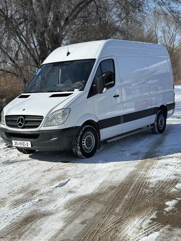 Mercedes-Benz: Mercedes-Benz Sprinter: 2009 г., 2.2 л, Автомат, Дизель, Бус