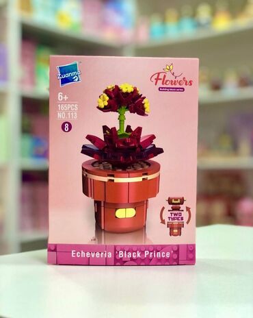 Палатки: LEGO Succulent & Flower Collection – evinizin ən gözəl dekoru! Həm