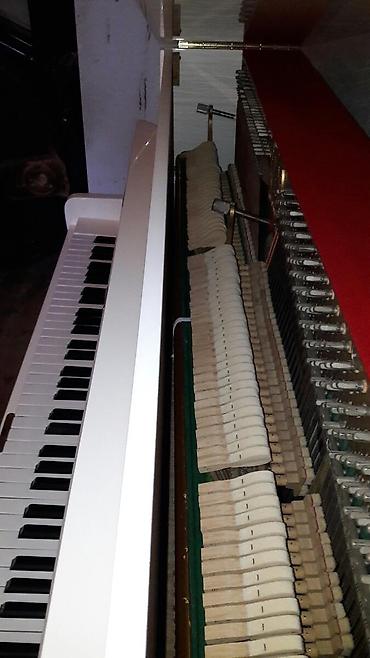 Musiqi alətləri: Pianino ZİMMERMANN Almaniya stehsalı. Cadırılma və köklənmə pulsuzdu — 2
