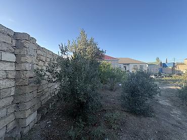 bina az mingecevir: 10 sot, Tikinti, Barter mümkündür, Müqavilə — 6