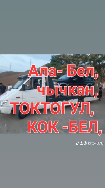 авто бафер: С лебедкой