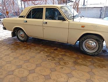 ГАЗ: ГАЗ 31029 Volga: 1992 г., 2.4 л, Механика, Бензин, Седан — 20