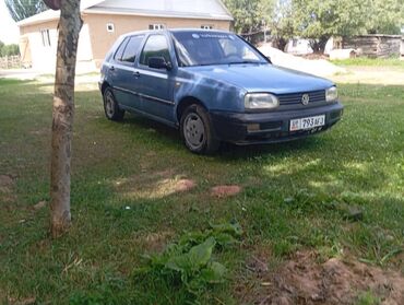 Volkswagen: Volkswagen Golf: 1993 г., 1.6 л, Механика, Бензин, Хэтчбэк