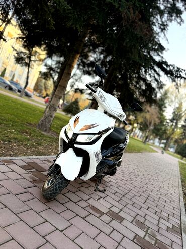 купить бу электромотоцикл: Скутер түрү M8, 150 куб. см, Бензин, Колдонулган