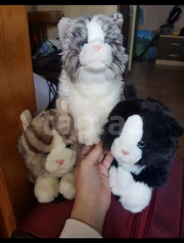 mutfaq oyuncaqları: !!teddy hermann kolleksiyon!! ! uc pisik plushes! almaniyadan alinmis