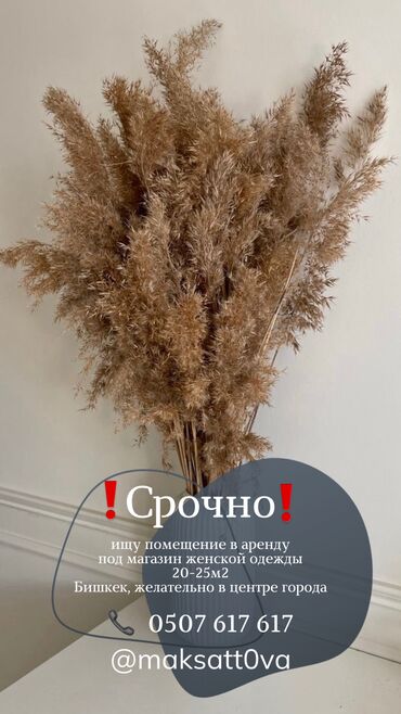частный дом на долгий срок: 20 м², Без мебели