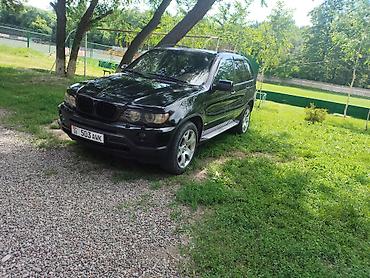 17 5: BMW X5: 2003 г., 3 л, Автомат, Дизель, Внедорожник — 9
