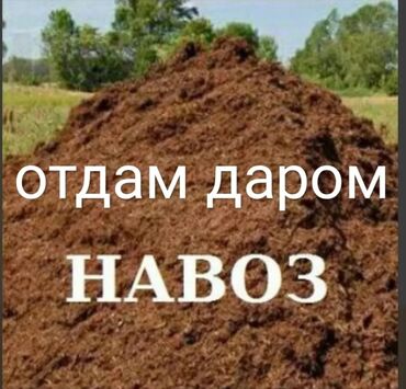 Перегной, навоз: В тоннах, Самовывоз, Камаз