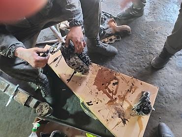 Daewoo: Daewoo Matiz: 2007 г., 0.8 л, Механика, Бензин, Хэтчбэк — 12