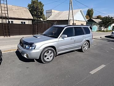 Subaru: Subaru Forester: 2003 г., 2 л, Автомат, Бензин, Универсал — 6